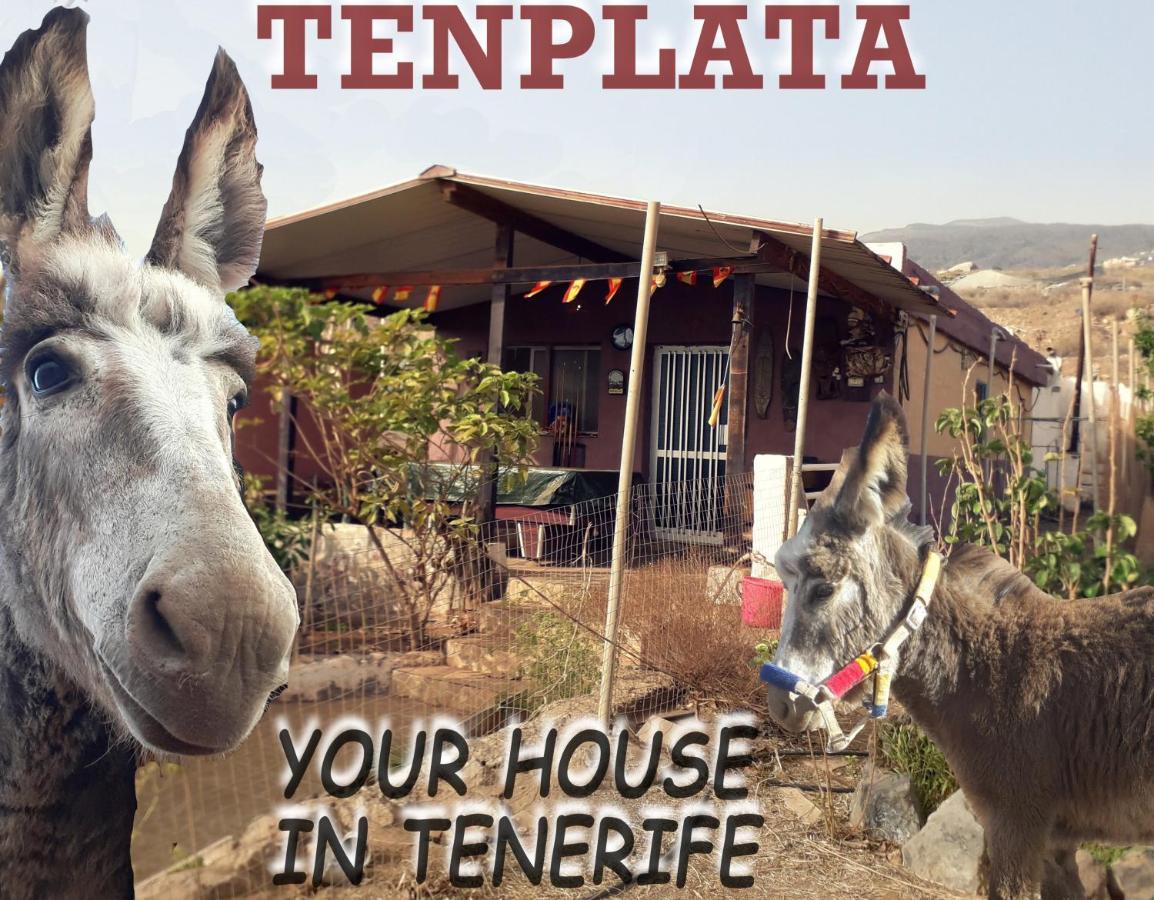 Tenplata Tijoco de Abajo Exterior photo